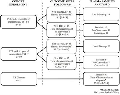 Cytokine/chemokine profiles in people with recent infection by Mycobacterium tuberculosis